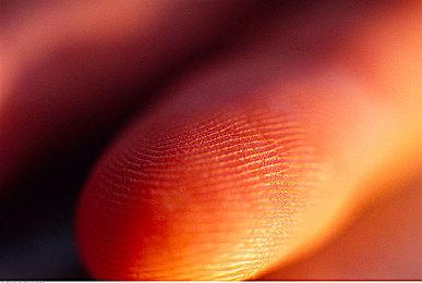 《尤卡莱莉大冒险》增强版暗示登陆任天堂Switch2